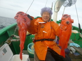 ベニアコウ(オオサガ)