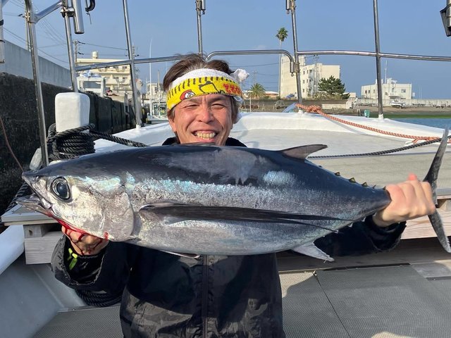 トンボ(ビンナガ)