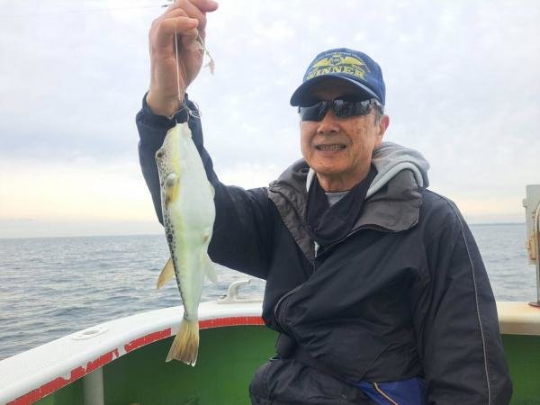 ショウサイフグ