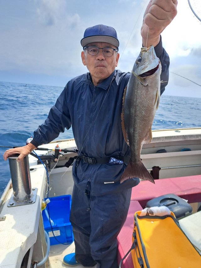 イサギ(イサキ)