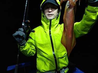 マイカ(ケンサキイカ)