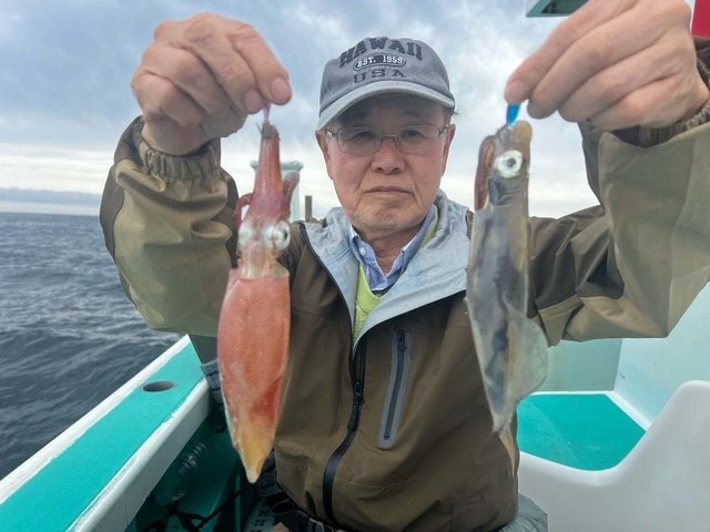 マルイカ(ケンサキイカ)