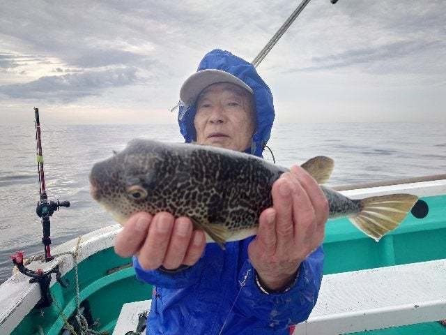 ショウサイフグ