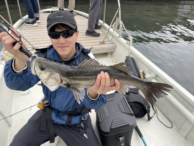 シーバス(スズキ)