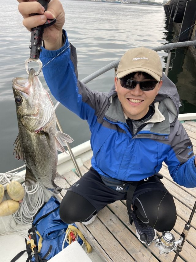 シーバス(スズキ)