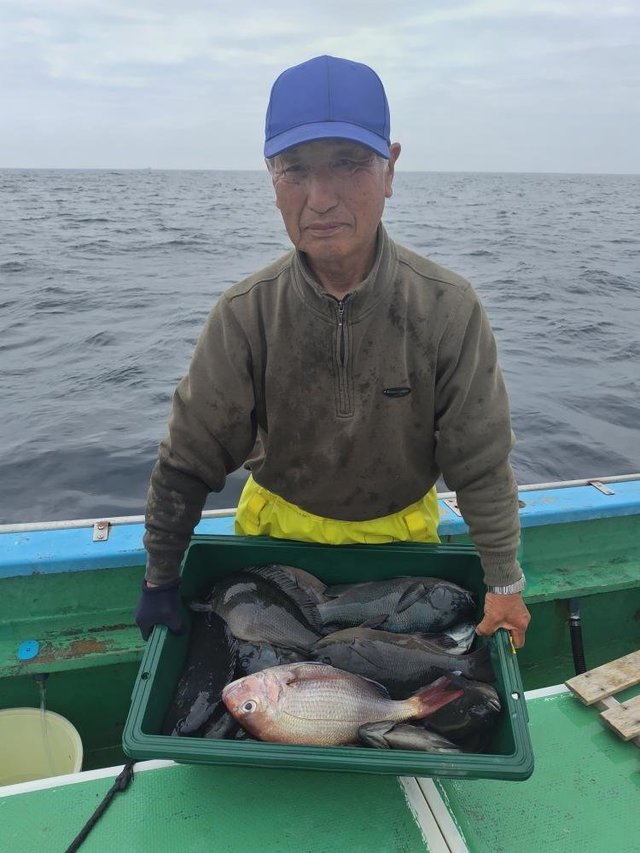 マダイ・メジナ