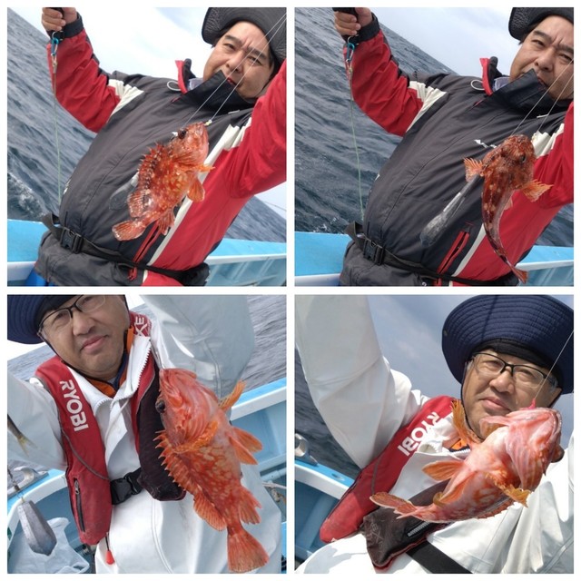 カサゴ・ハタ(マハタ)