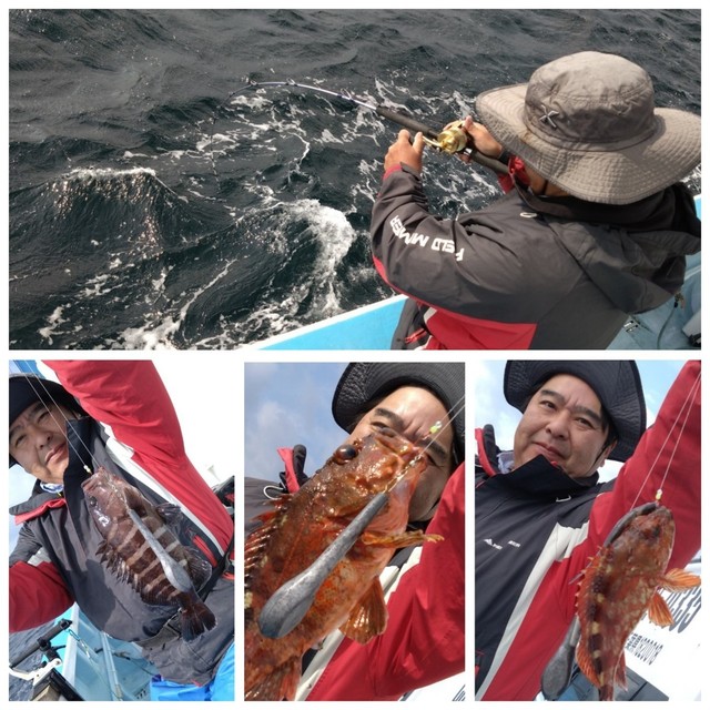 カサゴ・ハタ(マハタ)