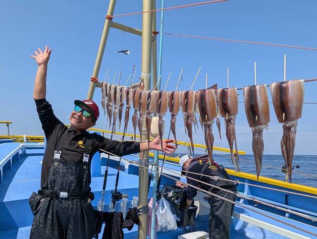 スルメ(スルメイカ)