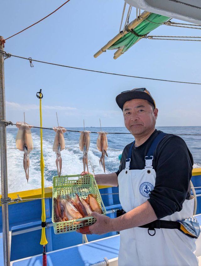 スルメ(スルメイカ)