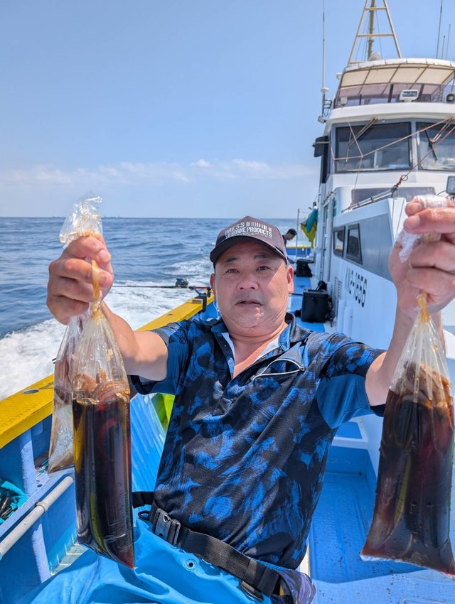 スルメ(スルメイカ)