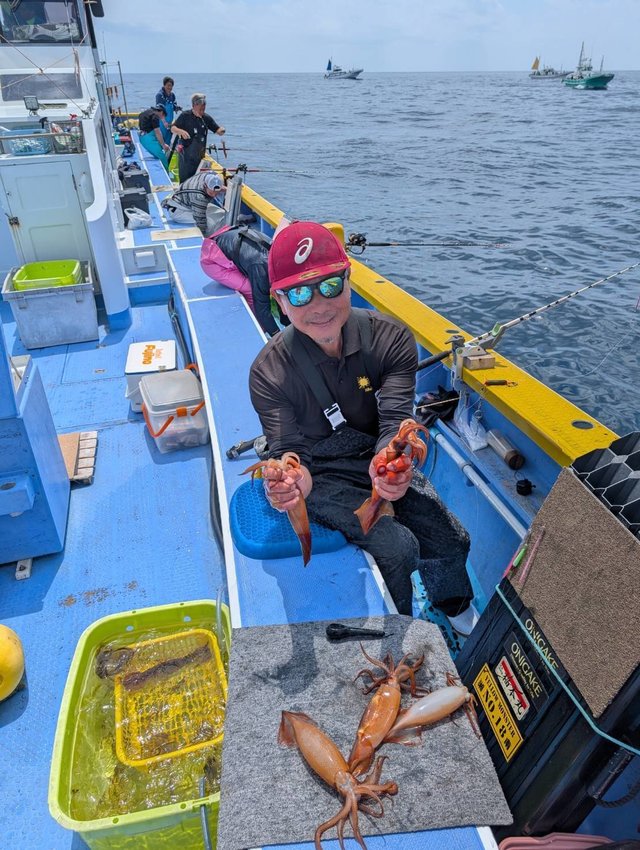 スルメ(スルメイカ)