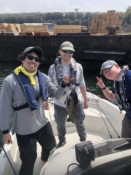 チヌ(クロダイ)