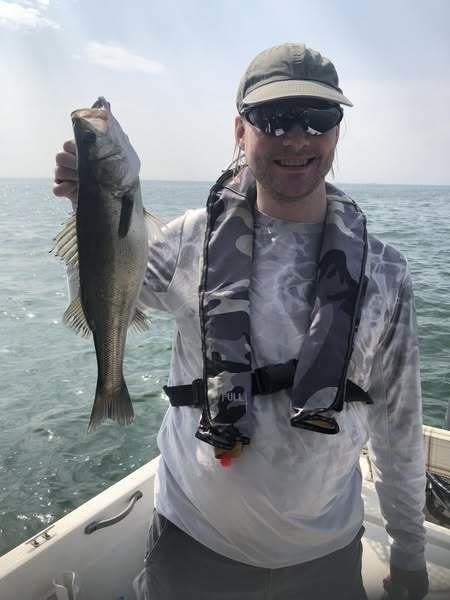 シーバス(スズキ)