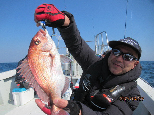 チャリコ(マダイ)