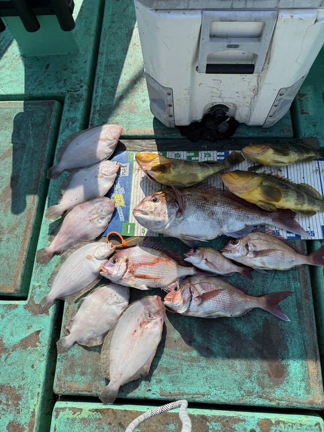 タイ(マダイ)・アオハタ