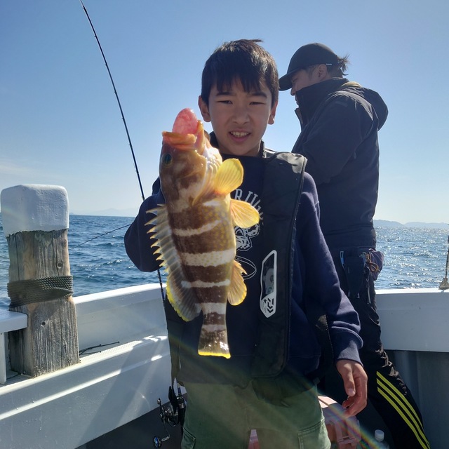 アオナ(アオハタ)