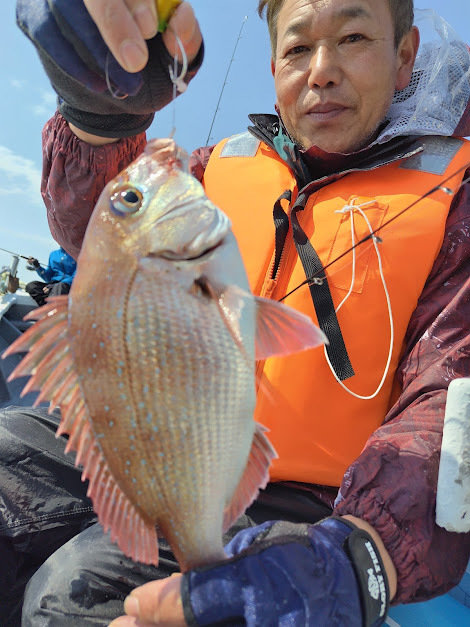 チャリコ(マダイ)