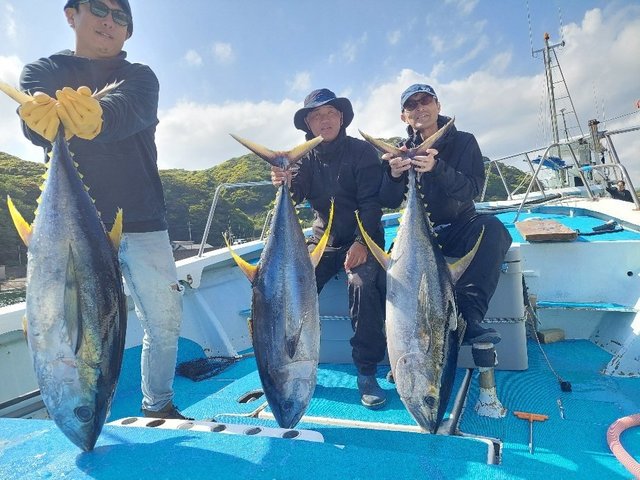 キハダマグロ(キハダ)