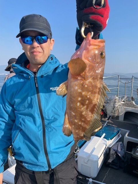 アコウ(キジハタ)