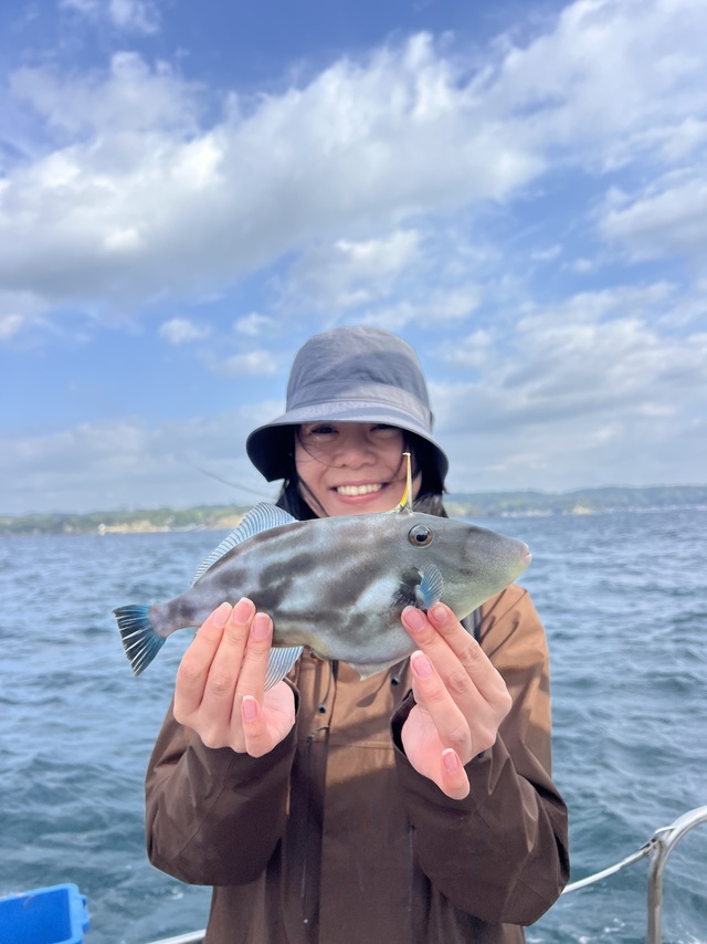 ウマズラハギ(ウマヅラハギ)