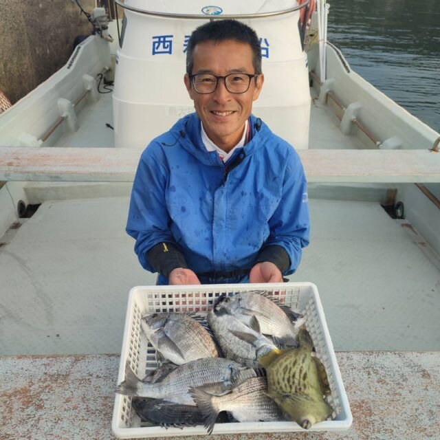 チヌ(クロダイ)