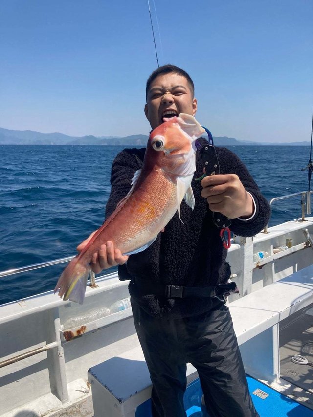 アマダイ(アカアマダイ)