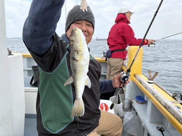 ショウサイフグ