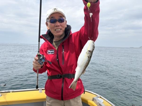 ショウサイフグ