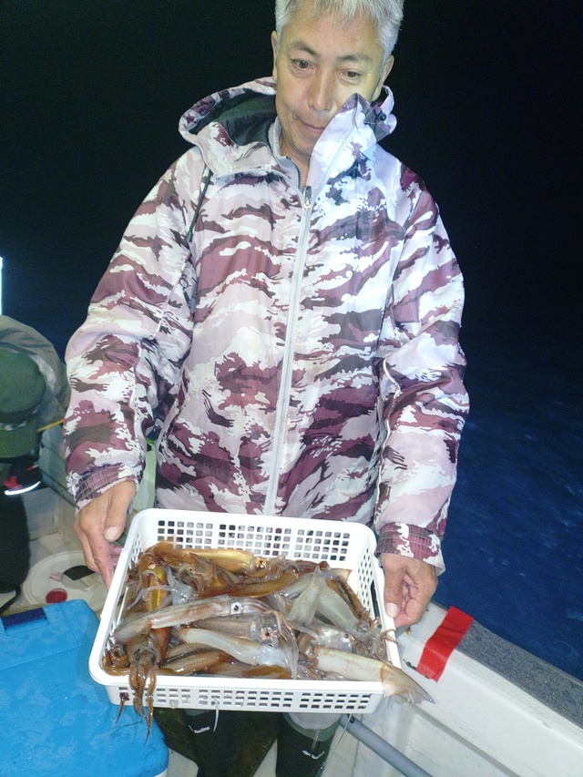 ムギイカ(スルメイカ)