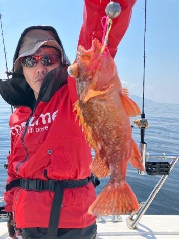 ウッカリカサゴ