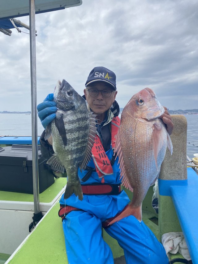 マダイ・クロダイ