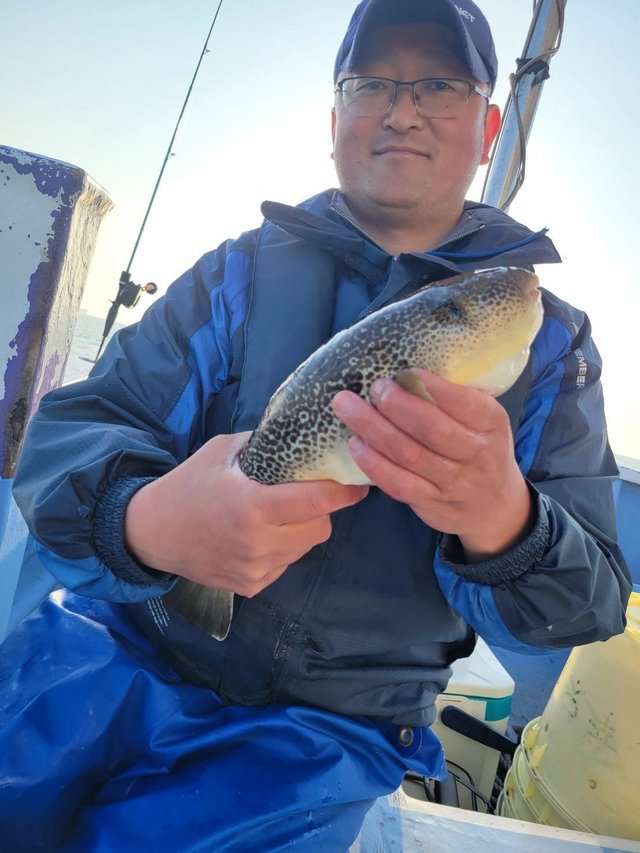 ショウサイフグ