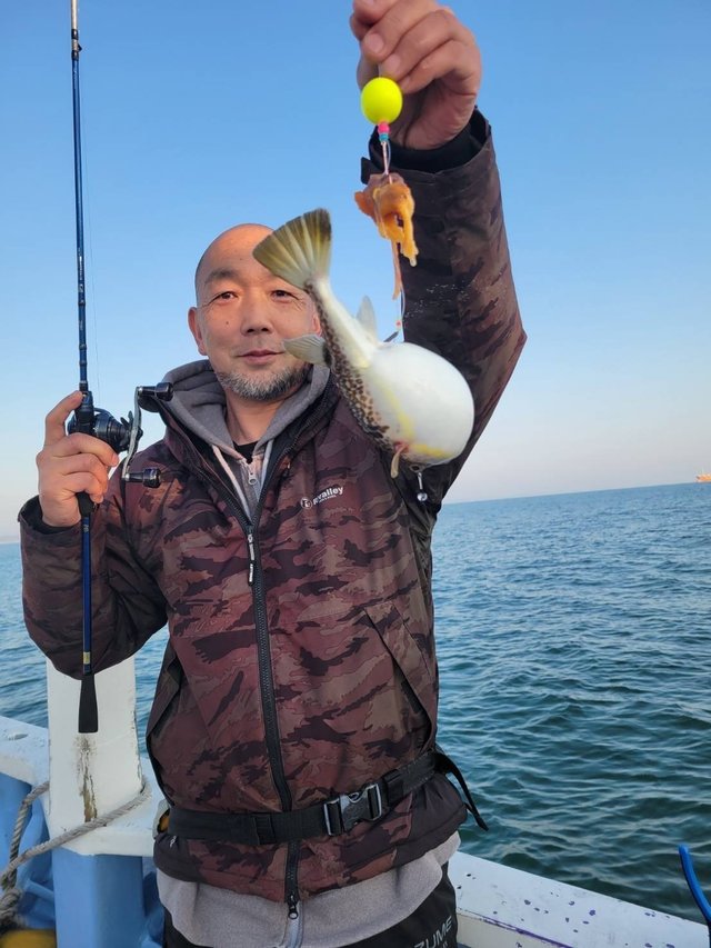 ショウサイフグ