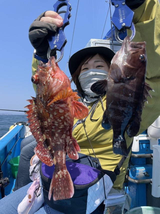 マハタ・カサゴ