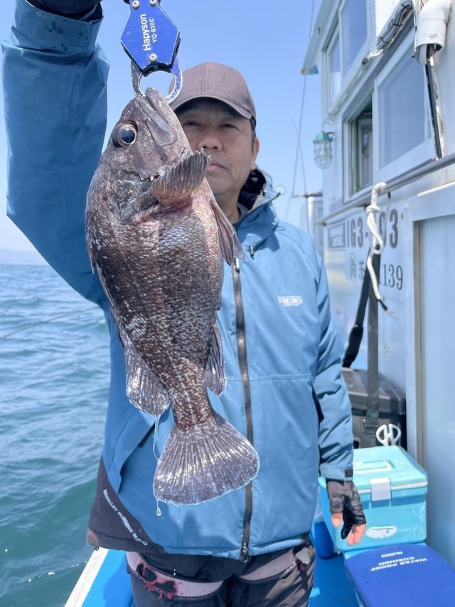 マゾイ(キツネメバル)