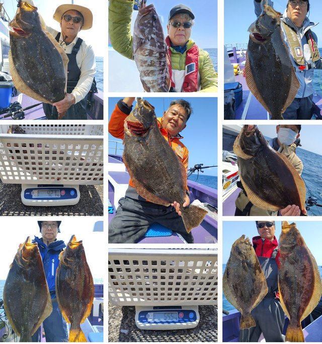 マハタ・ヒラメ