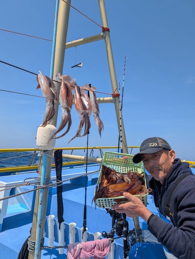 スルメ(スルメイカ)