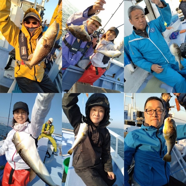 ショウサイフグ