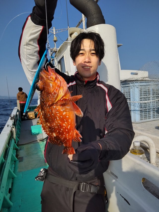 ガシラ(カサゴ)