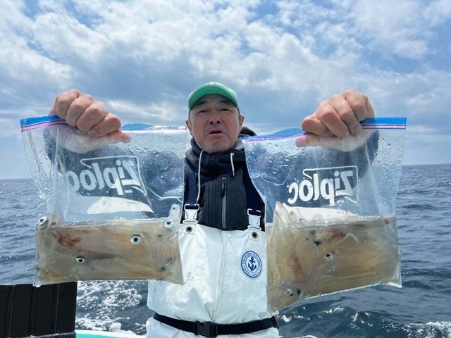 マルイカ(ケンサキイカ)