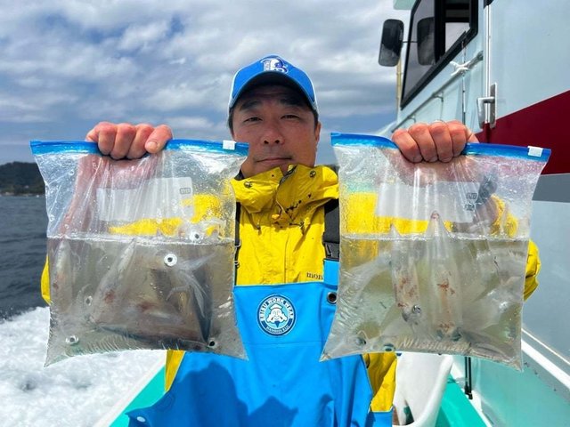 マルイカ(ケンサキイカ)