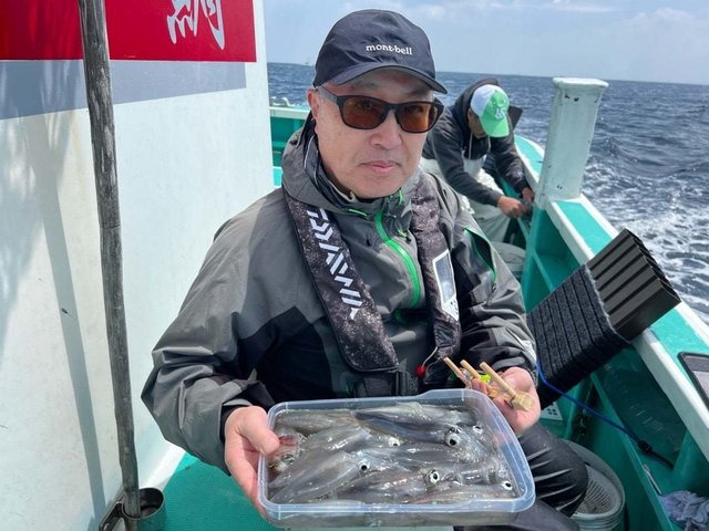 マルイカ(ケンサキイカ)