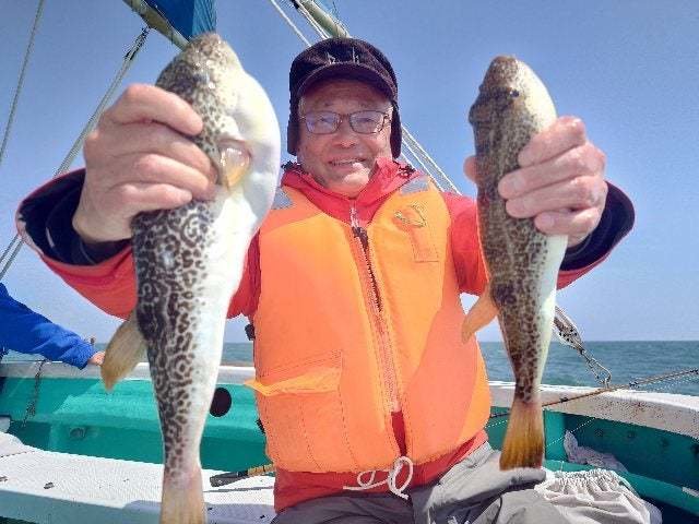 ショウサイフグ