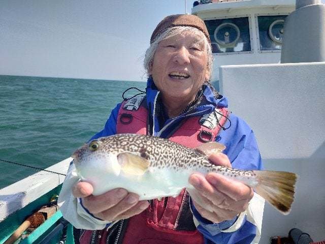 ショウサイフグ