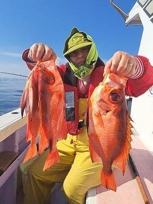 キントキ(チカメキントキ)