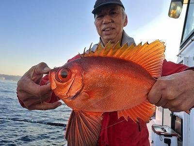 キントキ(チカメキントキ)