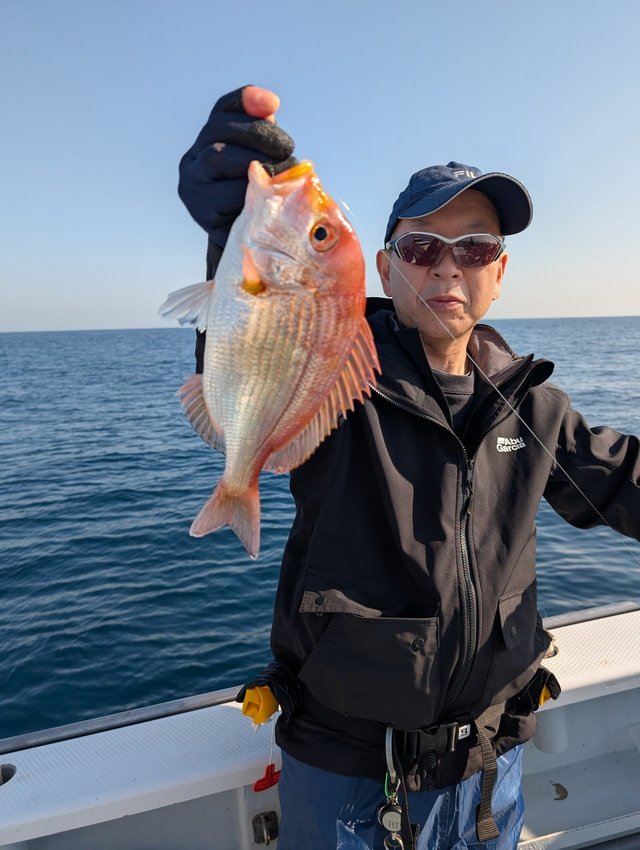 レンコダイ(キダイ)