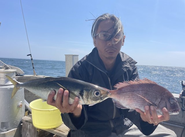 マダイ・アジ(マアジ)