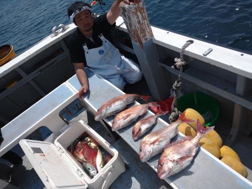 マダイ・アジ(マアジ)